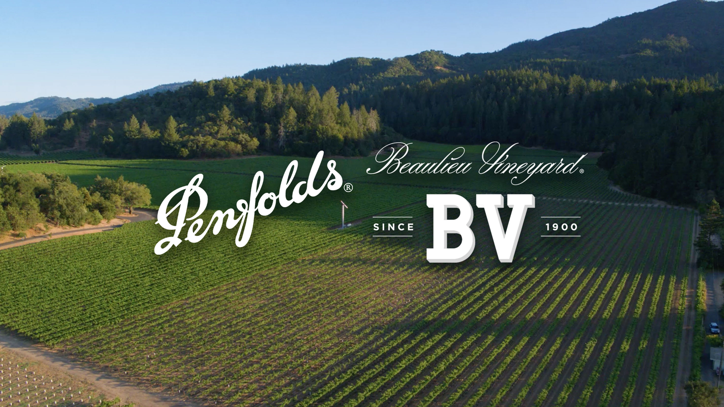 Taste Signature Benchmark Blends from Australia & Napa Valley
